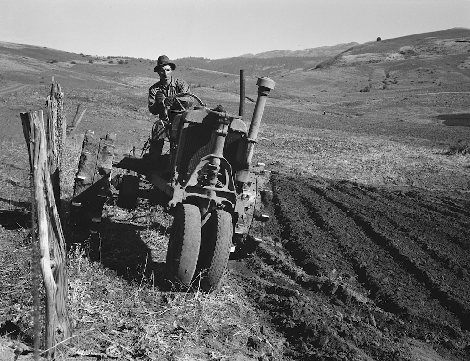 farmall regular