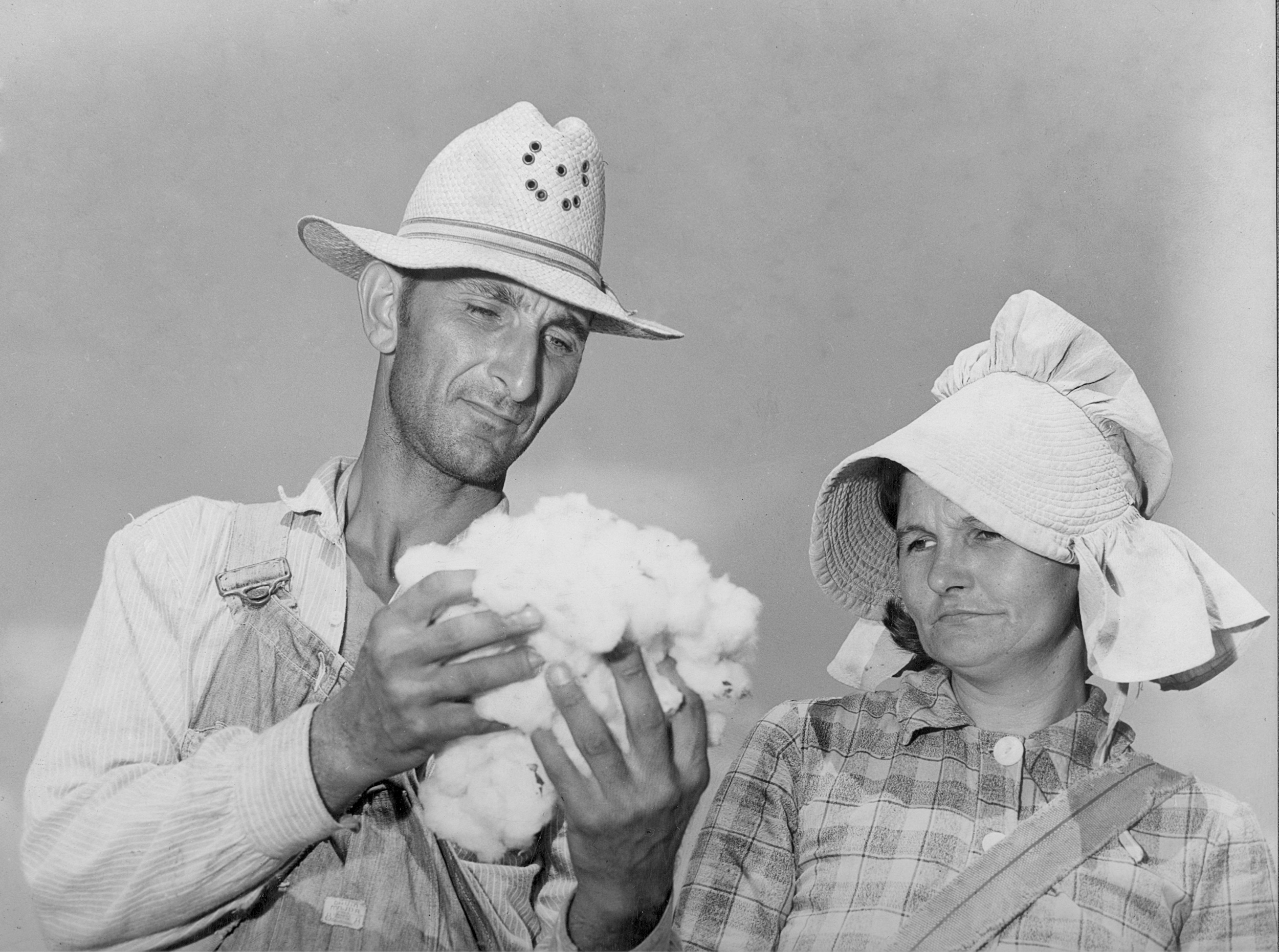 American cotton farmers