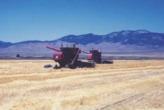 1960s combine in a field