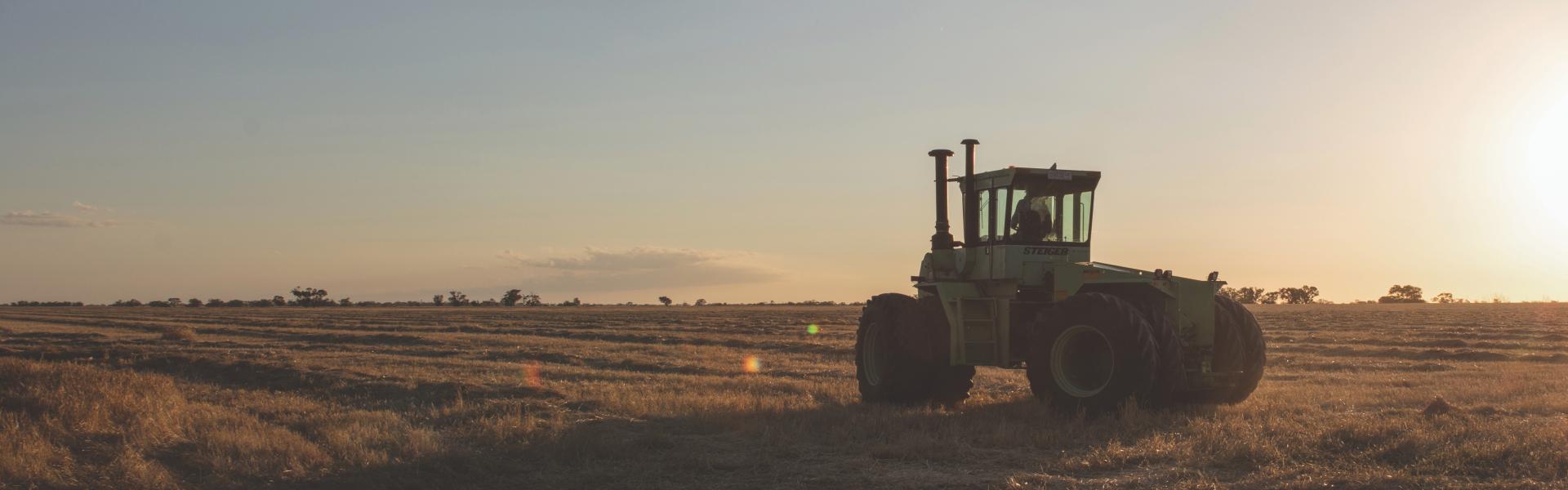 steiger in field